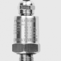 PT100不銹鋼直插壓力變送器